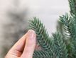 Выбрать фотографию для просмотра