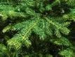 Выбрать фотографию для просмотра