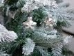 Выбрать фотографию для просмотра