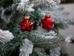 Выбрать фотографию для просмотра