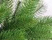 Выбрать фотографию для просмотра
