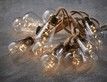 Выбрать фотографию для просмотра