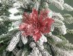 Выбрать фотографию для просмотра