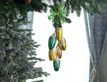 Выбрать фотографию для просмотра