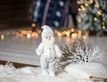 Выбрать фотографию для просмотра