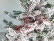 Выбрать фотографию для просмотра