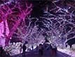 Выбрать фотографию для просмотра