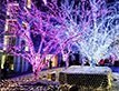 Выбрать фотографию для просмотра