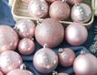 Выбрать фотографию для просмотра