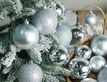Выбрать фотографию для просмотра
