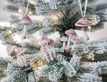 Выбрать фотографию для просмотра
