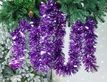 Выбрать фотографию для просмотра