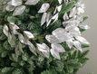 Выбрать фотографию для просмотра
