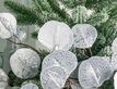 Выбрать фотографию для просмотра