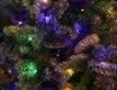 Выбрать фотографию для просмотра