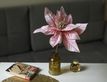 Выбрать фотографию для просмотра