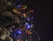 Выбрать фотографию для просмотра