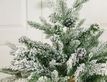 Выбрать фотографию для просмотра