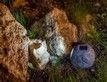 Выбрать фотографию для просмотра