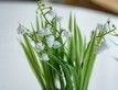 Выбрать фотографию для просмотра
