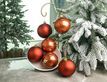 Выбрать фотографию для просмотра