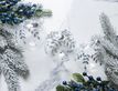 Выбрать фотографию для просмотра
