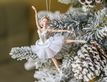 Выбрать фотографию для просмотра