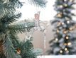 Выбрать фотографию для просмотра