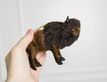 Выбрать фотографию для просмотра