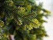 Выбрать фотографию для просмотра