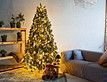 Выбрать фотографию для просмотра