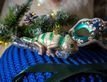 Выбрать фотографию для просмотра