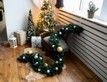 Выбрать фотографию для просмотра