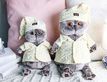 Выбрать фотографию для просмотра