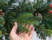 Выбрать фотографию для просмотра