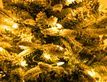 Выбрать фотографию для просмотра