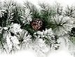 Выбрать фотографию для просмотра