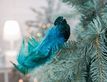 Выбрать фотографию для просмотра