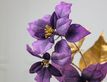 Выбрать фотографию для просмотра