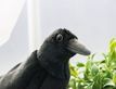 Выбрать фотографию для просмотра