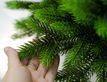 Выбрать фотографию для просмотра
