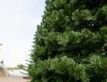 Выбрать фотографию для просмотра