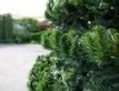Выбрать фотографию для просмотра