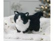 Выбрать фотографию для просмотра