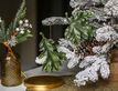 Выбрать фотографию для просмотра