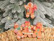 Выбрать фотографию для просмотра