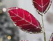 Выбрать фотографию для просмотра