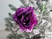 Выбрать фотографию для просмотра