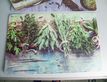 Выбрать фотографию для просмотра