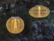 Выбрать фотографию для просмотра